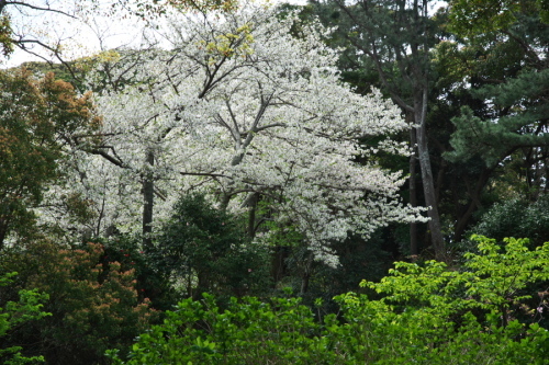 a0263109_10145007.jpg