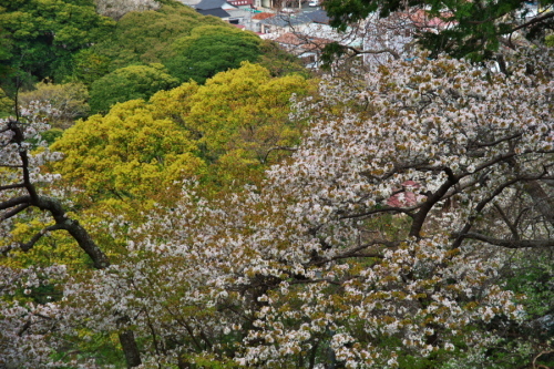 a0263109_10145180.jpg