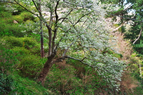 a0263109_10161007.jpg
