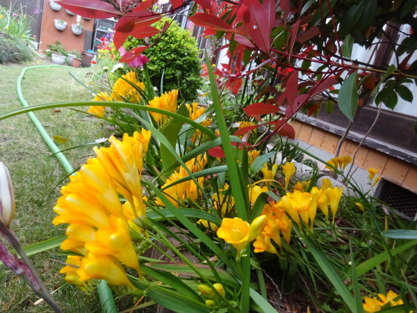 f0231709_12010160.jpg