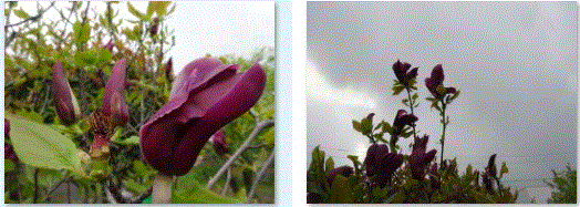 f0231709_12032169.gif