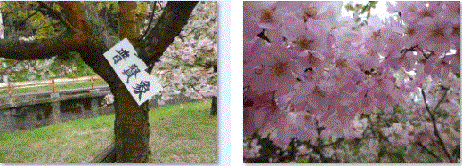 f0231709_13075684.gif