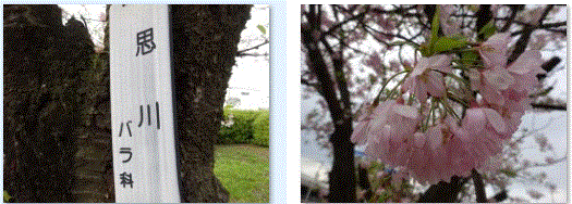 f0231709_13081173.gif