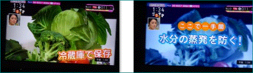 f0231709_15125582.gif
