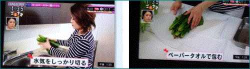f0231709_15131198.gif