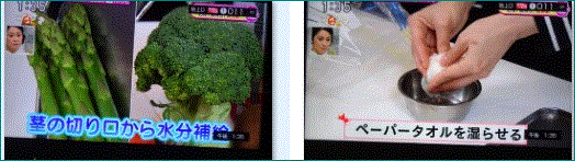 f0231709_15210397.gif