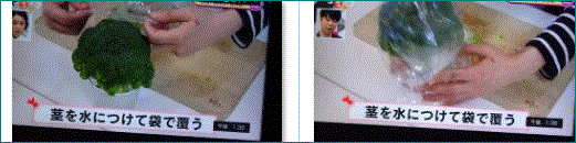 f0231709_15232366.gif
