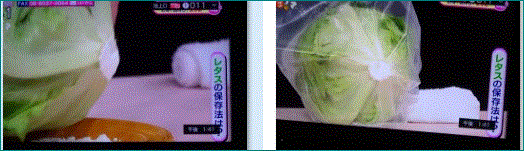 f0231709_15285342.gif