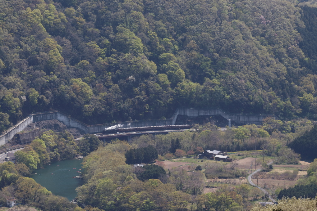 新緑 満開 - 秩父・2018年春 -_b0190710_18371099.jpg
