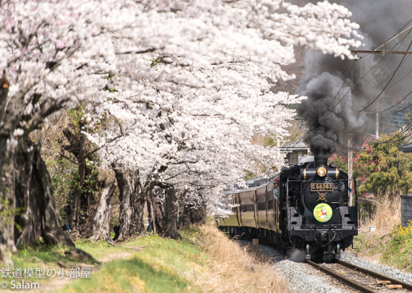 4月1日　上長瀞の桜並木_f0229311_09011654.jpg