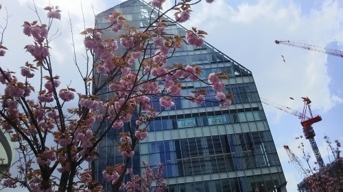 c0216213_22184984.jpg