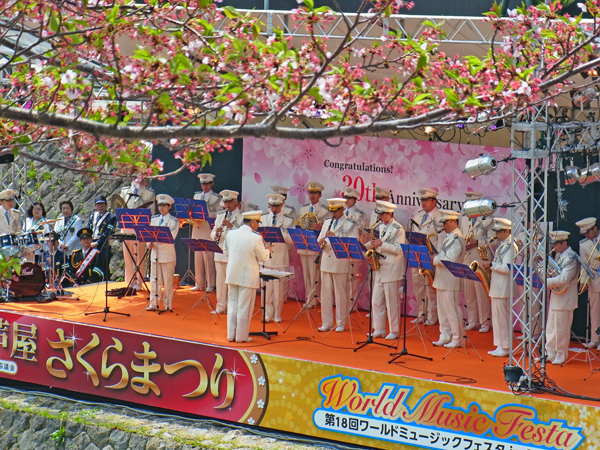 恒例の芦屋川での英語花見会は葉桜会_e0083517_01294068.jpg