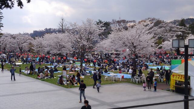 d0250123_20141506.jpg