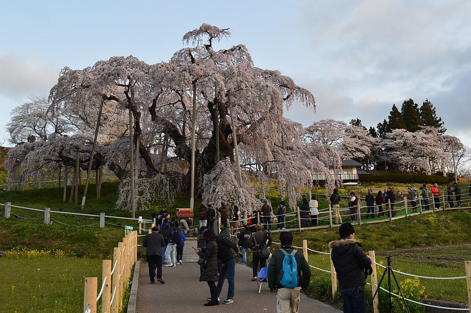 巡礼の旅_f0157823_15484747.jpg