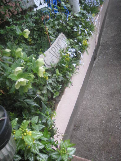 f0166824_14082742.jpg