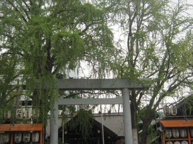d0162225_14270737.jpg