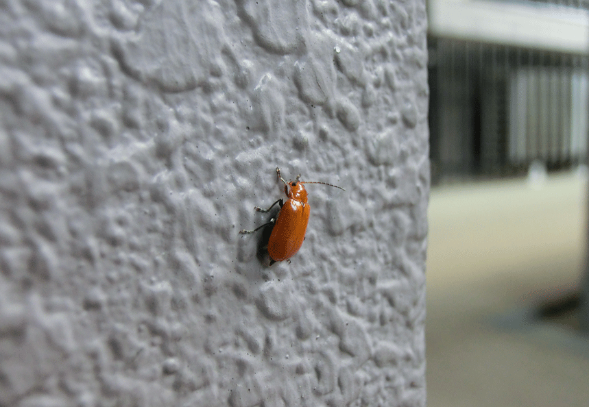 a0126632_18401783.gif