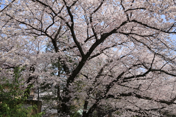 f0229832_08502788.jpg