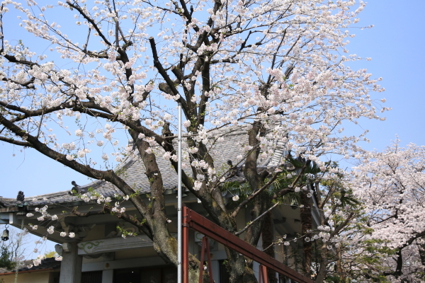 f0229832_08504295.jpg