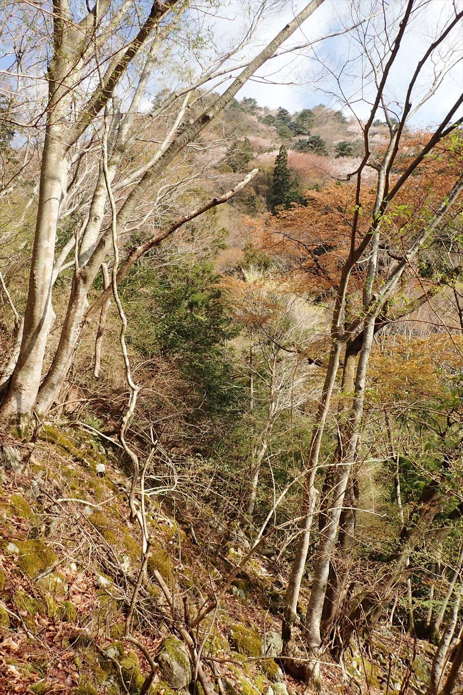 f0348933_18502323.jpg