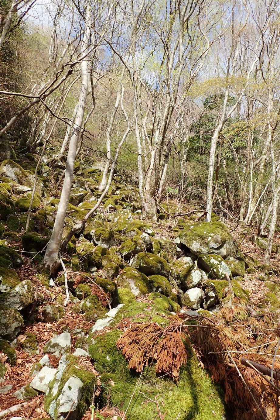 f0348933_18513920.jpg