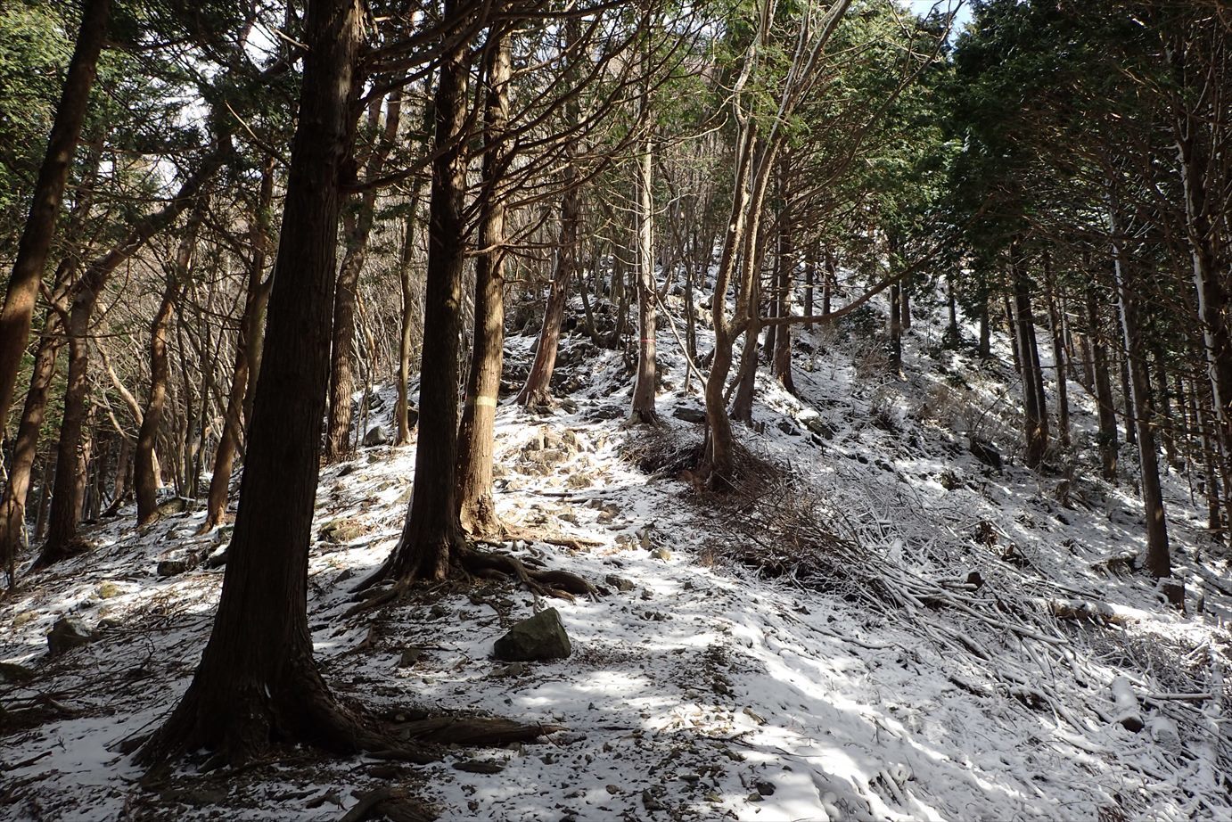 f0348933_18542559.jpg