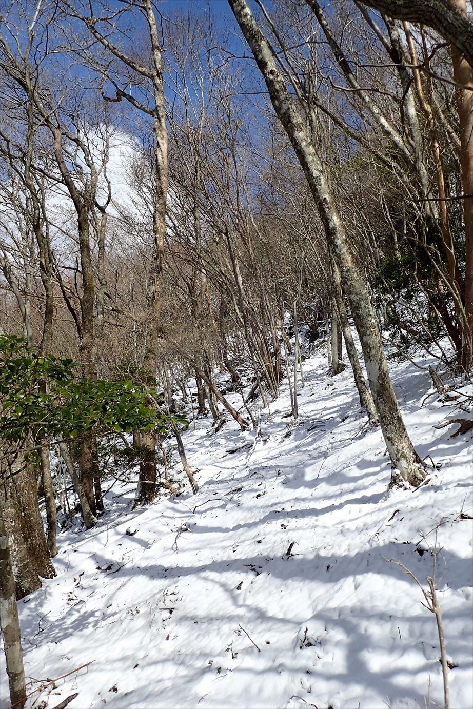 f0348933_18545456.jpg