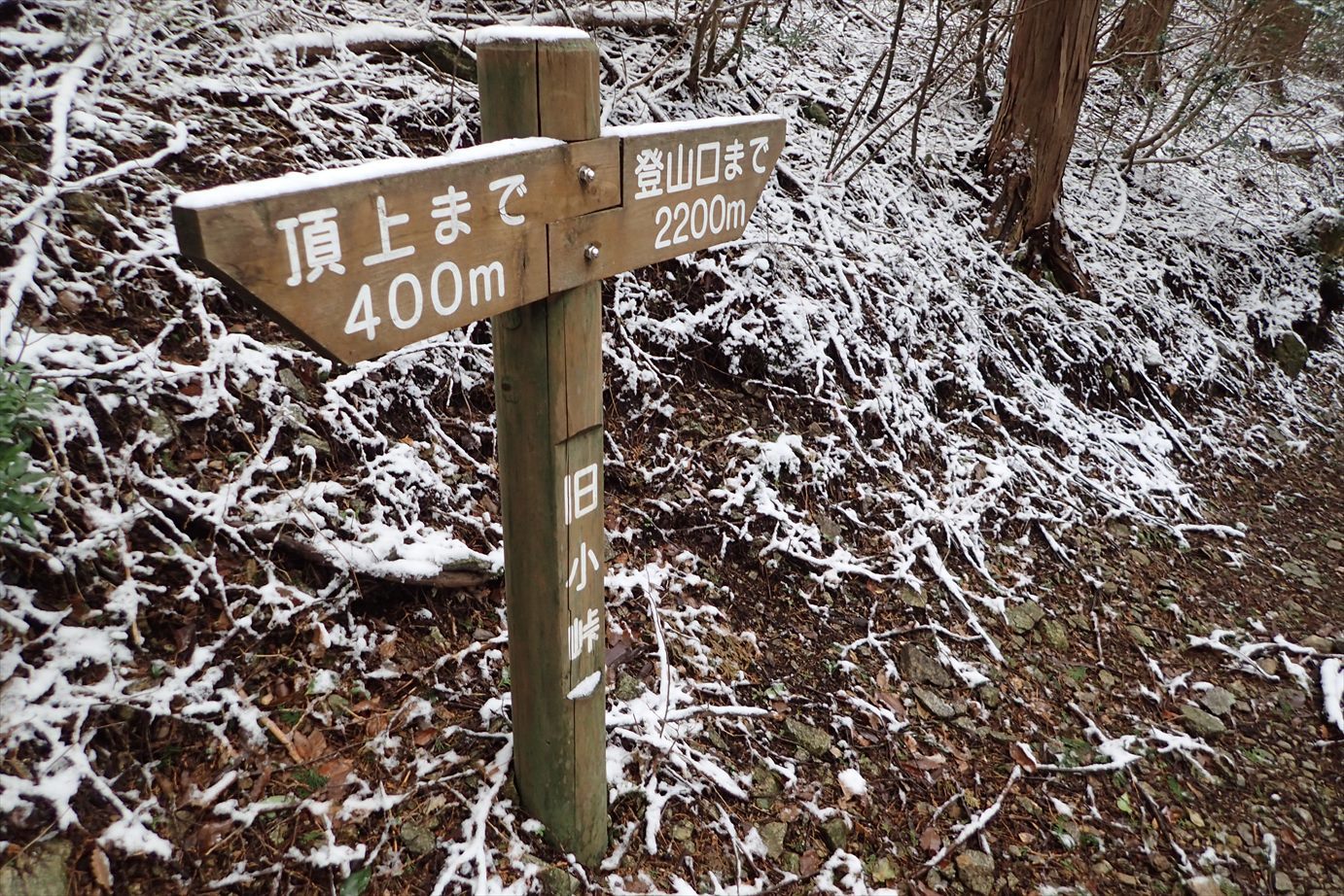 f0348933_19064030.jpg