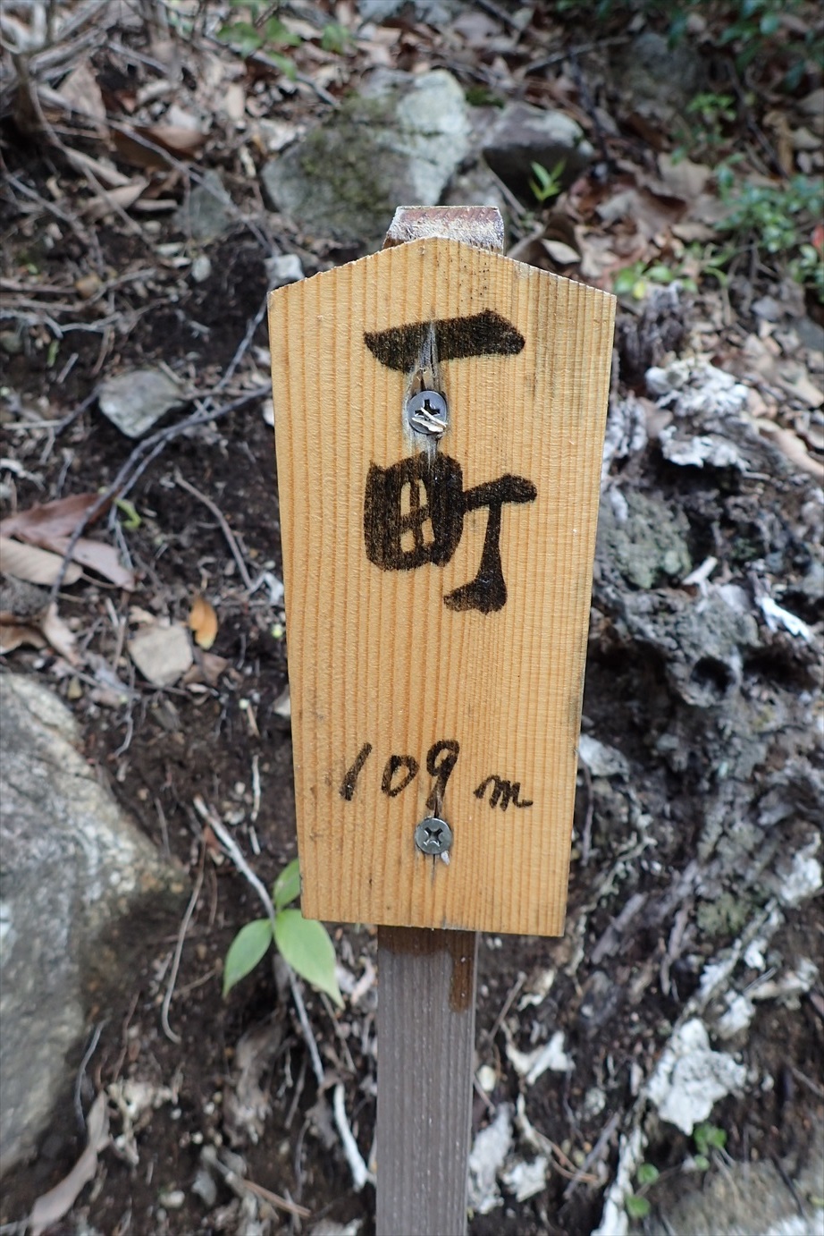 f0348933_19092771.jpg