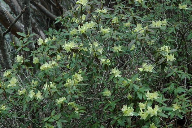 e0272335_15514158.jpg