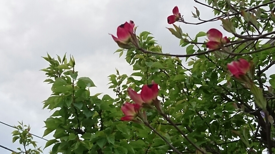 d0256145_09504800.jpeg