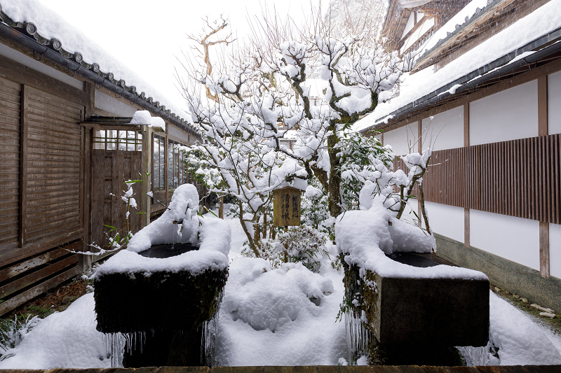 雪の京都2018　三千院雪景色（前編・聚碧園～有清園）_f0155048_21573736.jpg