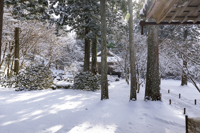 雪の京都2018　三千院雪景色（前編・聚碧園～有清園）_f0155048_21583023.jpg