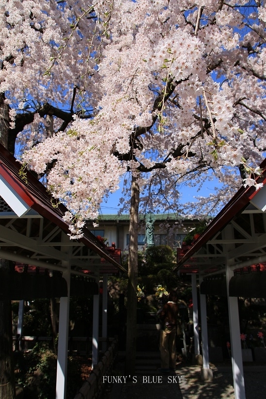 c0145250_20200901.jpg