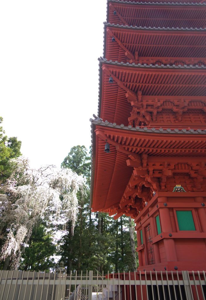 c0210054_07465432.jpg