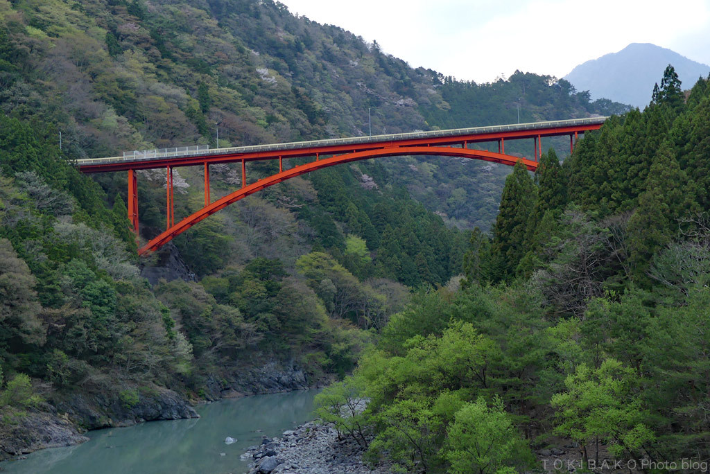 d0100156_17310214.jpg