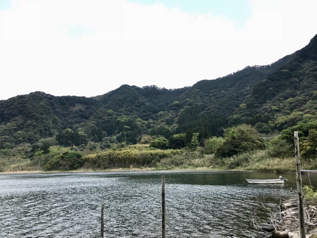 d0156557_10243056.jpeg