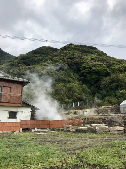 d0156557_10251534.jpeg
