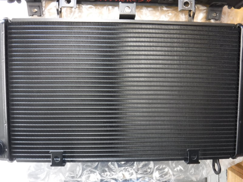 GPZ900R 冷却系メンテでござり~♪ その2_a0163159_00153654.jpg