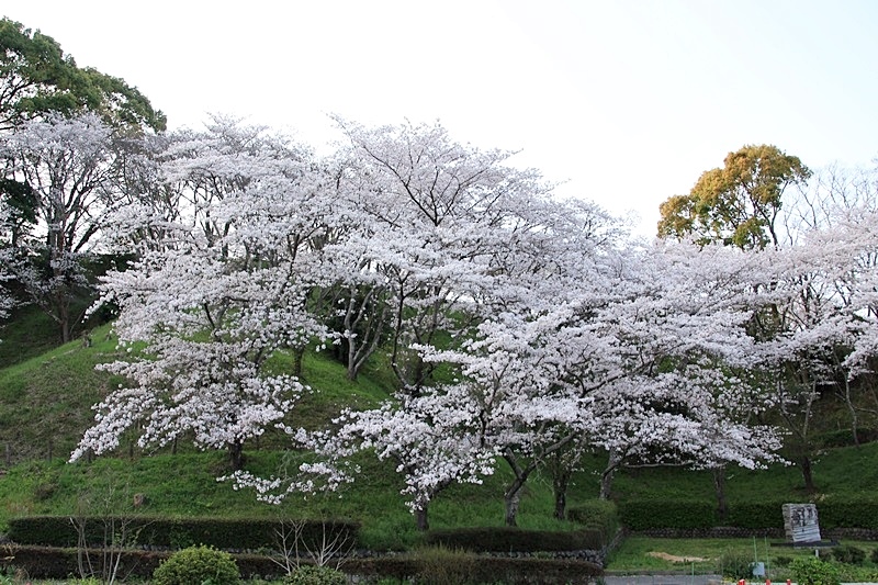 a0167759_1251969.jpg