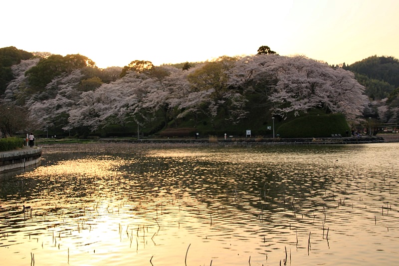 a0167759_1431956.jpg