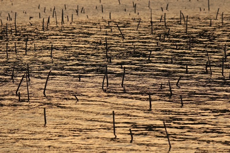 a0167759_340414.jpg