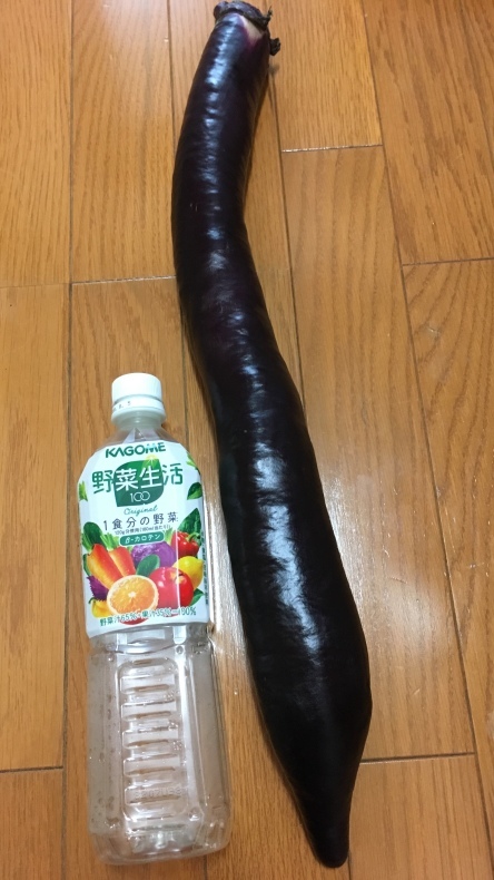 e0390962_18342404.jpeg