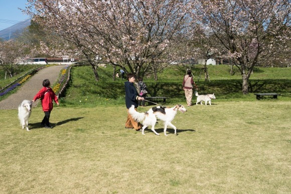 c0260264_21132493.jpg