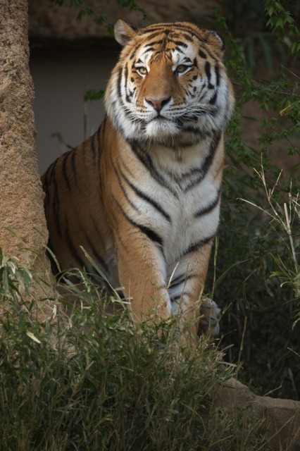 a0188771_23442925.jpg