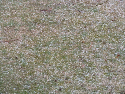 b0149071_13193133.jpg