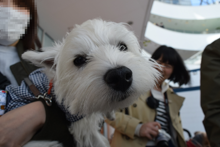 b0242873_00002202.png