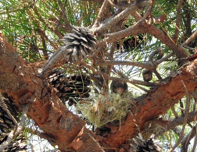 f0378979_11403200.jpg