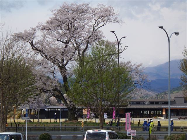 b0080681_19582187.jpg