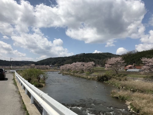 f0315081_17313975.jpeg